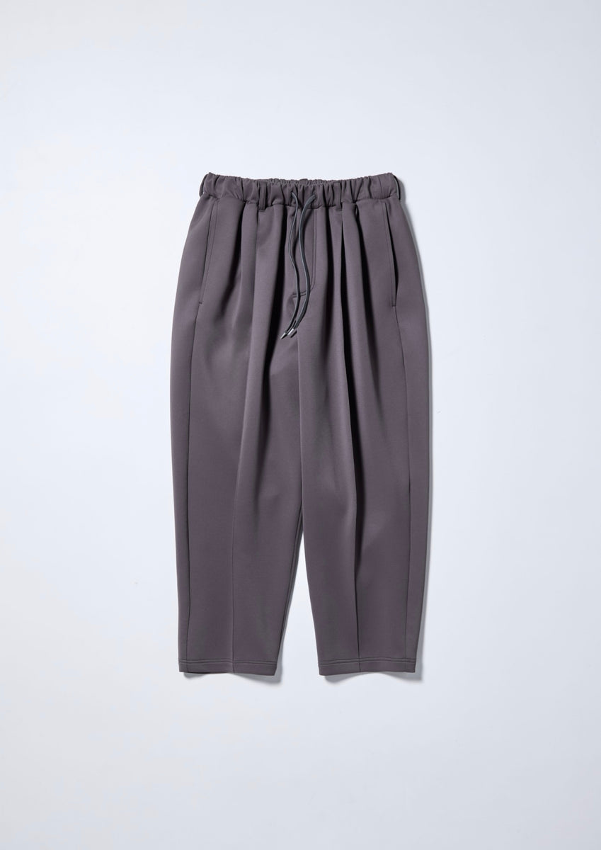 LIGHT PONTE SLACKS GREY – carorie